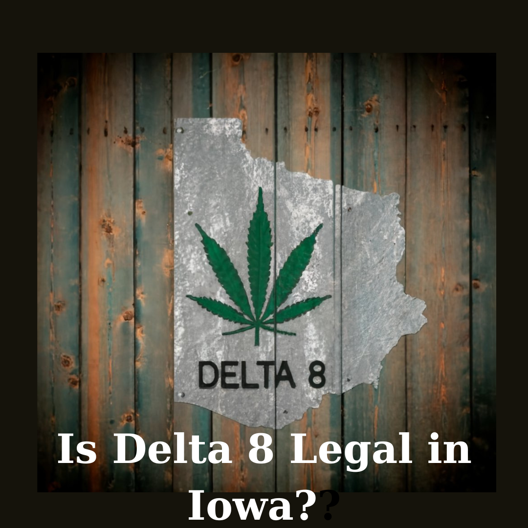 Is Delta 8 Legal in Iowa? Triangle Hemp Wellness