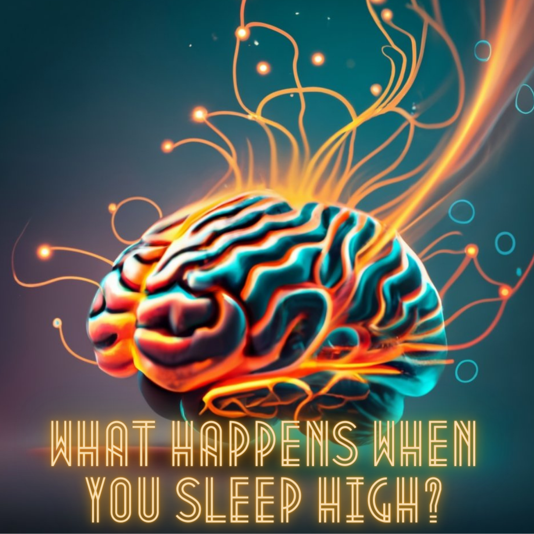 What Happens When You Sleep High?