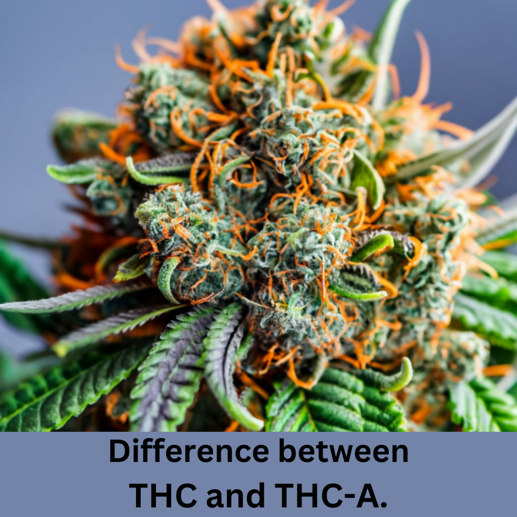 Difference between THC and THC-A.