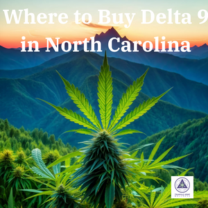 Where to Buy Delta 9 in North Carolina