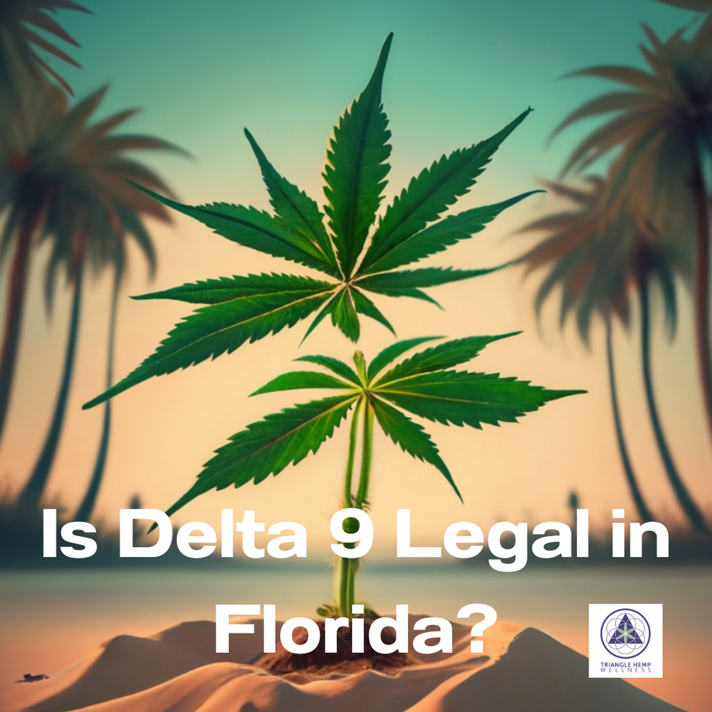 Is Delta 9 Legal in Florida?