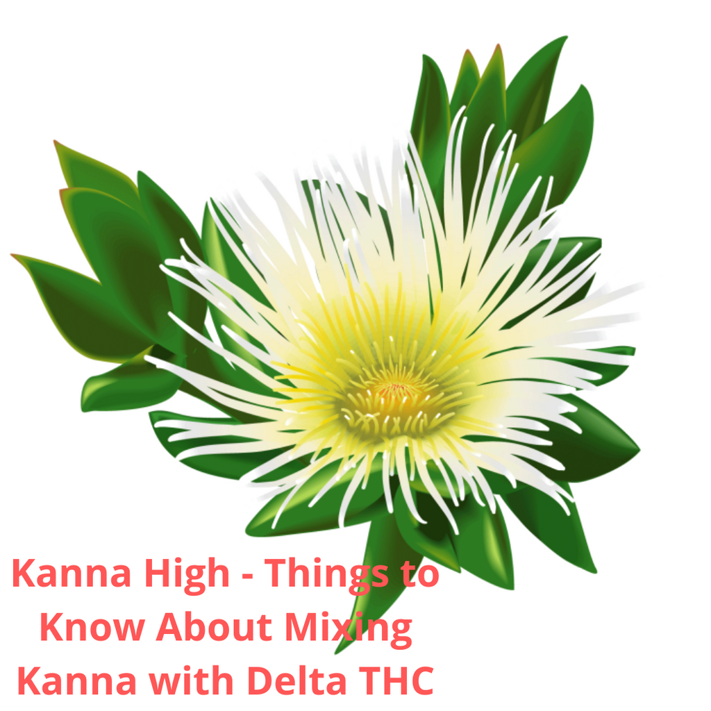 Kanna High - Things to Know About Mixing Kanna with Delta THC products. If you are thinking about combining Kanna with Delta THC, this is the blog post you need to read!