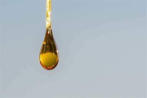 What Is Rosin? How Solventless CBD Extraction Works, Rosin vs Resin, How to Use It & Why It Matters [2026]
