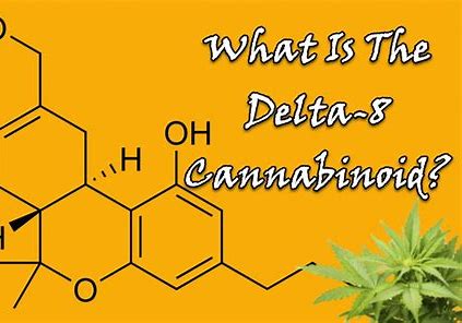 Delta 8 Guide For 2021. What Is Delta-8-THC, And How Is It Different From CBD?