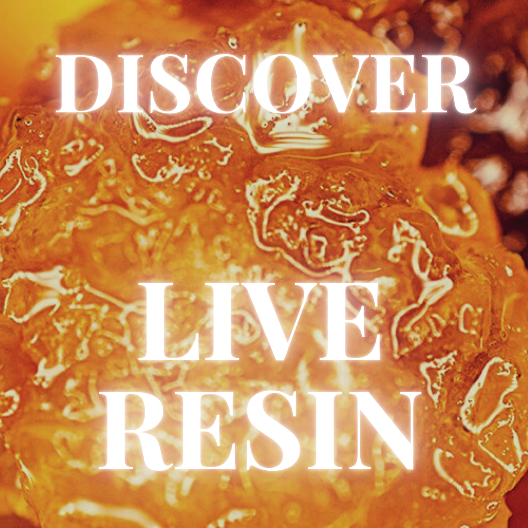 Live Resin- Discover the Benefits