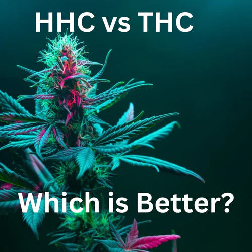 HHC vs THC: Which is Better for you?