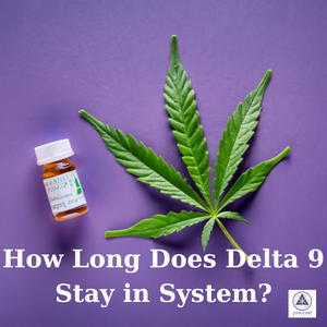 How Long Does Delta 9 Stay in System?