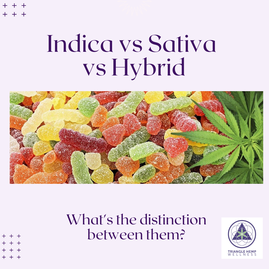 Indica vs Sativa vs Hybrid How do they differ?