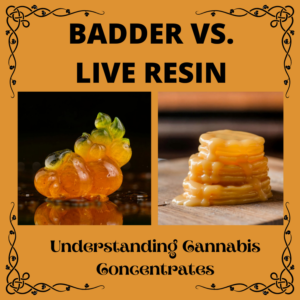 Badder vs. Live Resin: Understanding Cannabis Concentrates