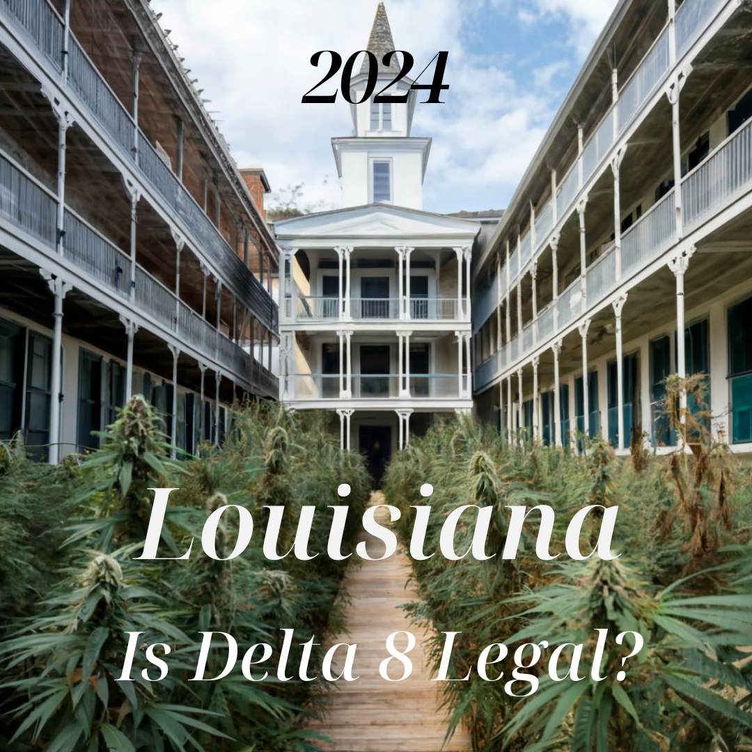 Is Delta 8 Legal in Louisiana?