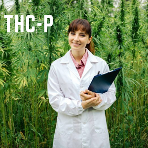 Discover THCP