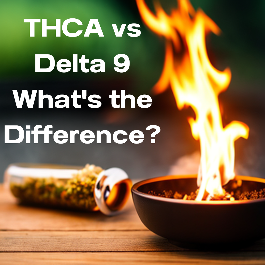 THCA vs Delta 9 What's the Difference?