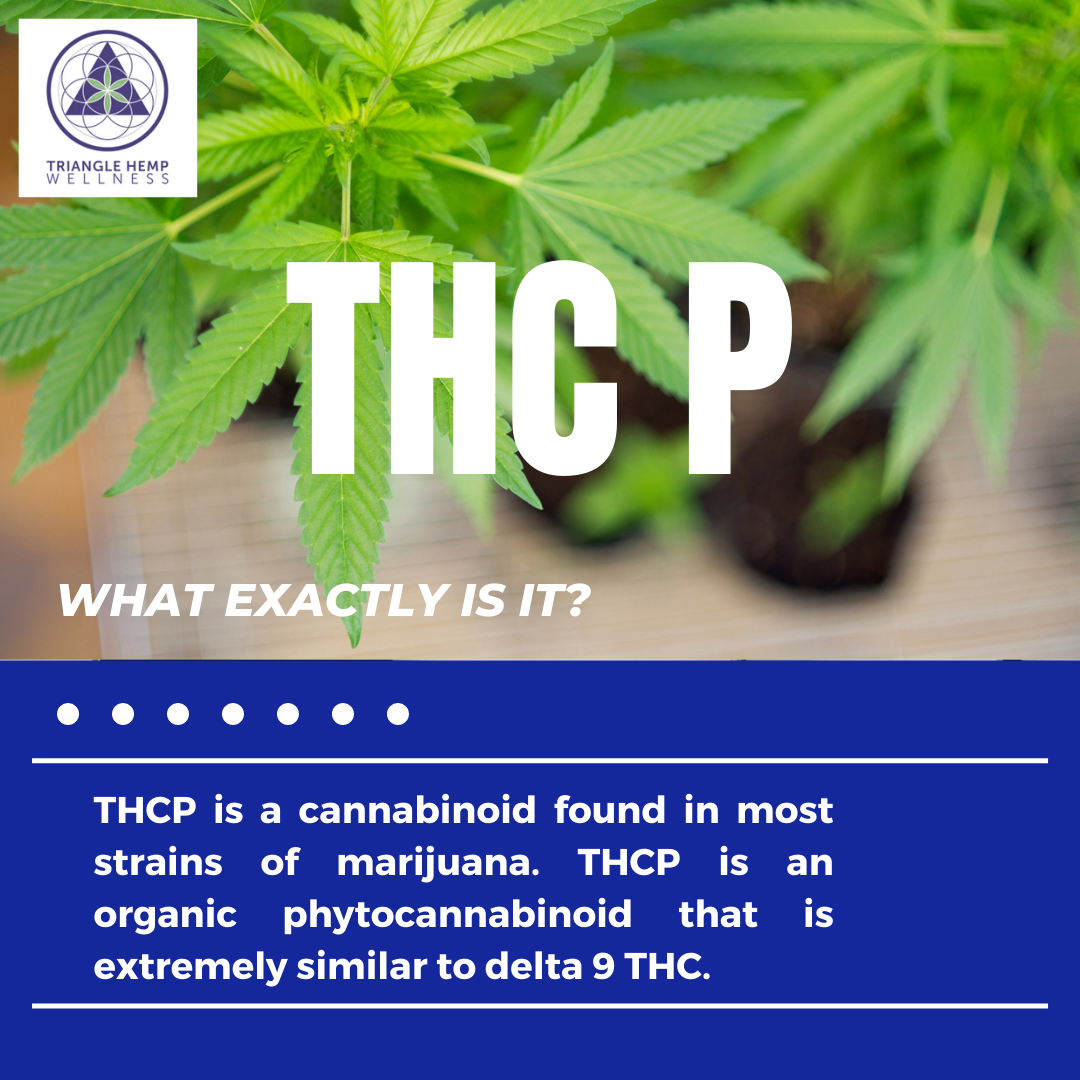THC P What exactly is it?
