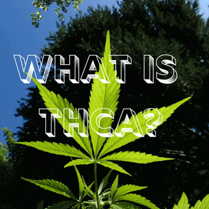 What is THC A?  WILL IT GET ME HIGH?