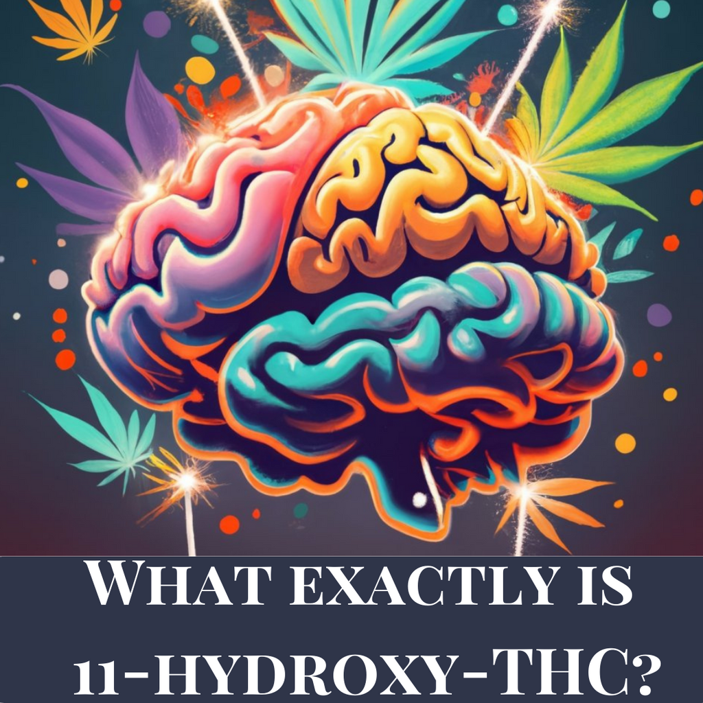 What exactly is 11-hydroxy-THC?