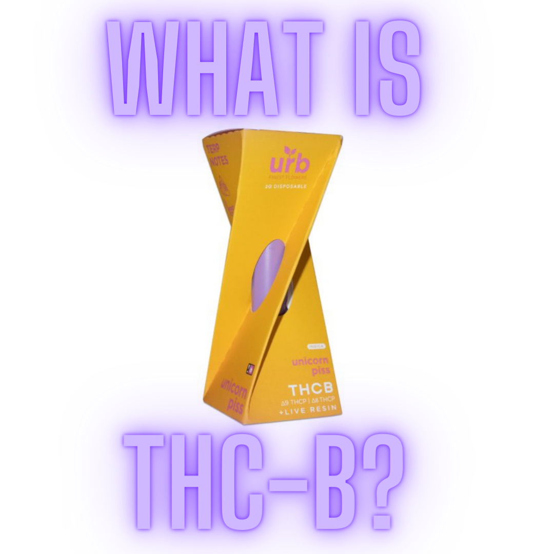 What is THC-B?