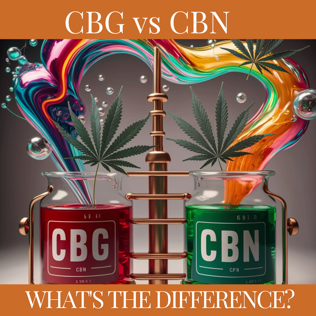 CBG vs CBN: What's the Difference?