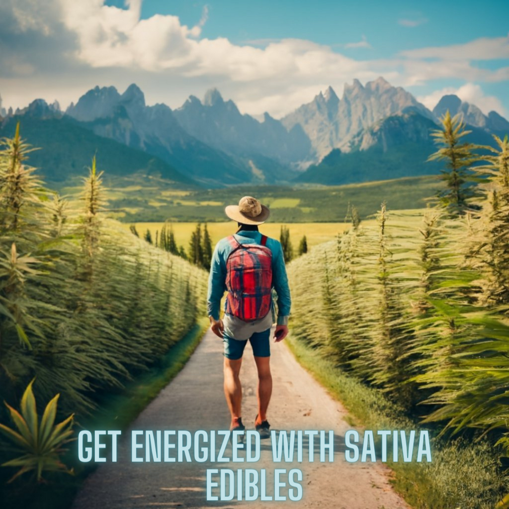 Get Energized with Sativa Edibles