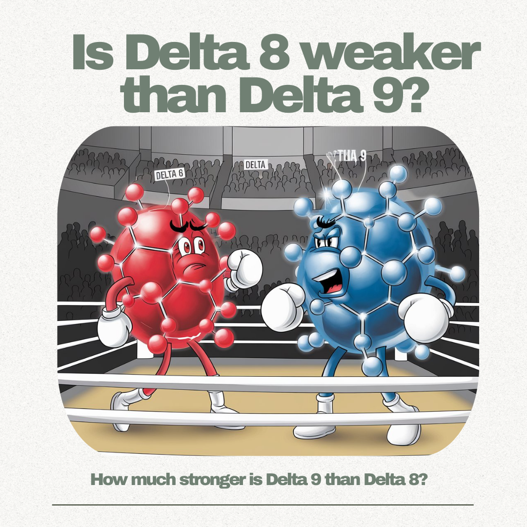Is Delta 8 Weaker Than Delta 9? Potency Chart, High Comparison & Use Cases [2026]