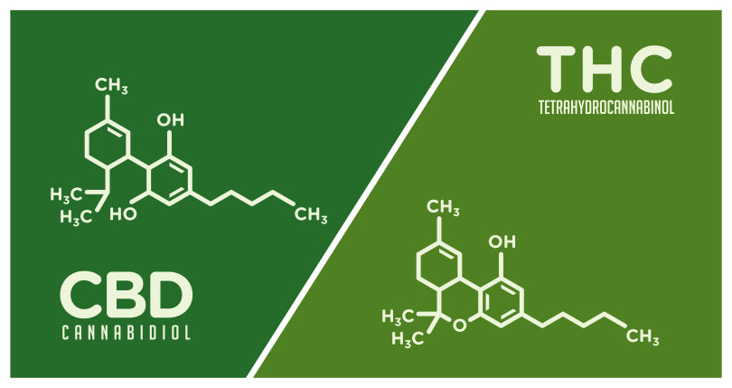 1:1 Ratio Cannabis Products - Why and How They Are Helpful