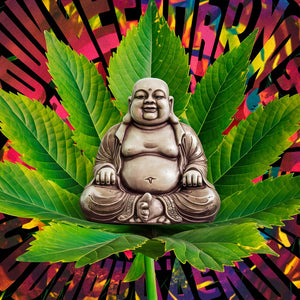 Unlock Your Tranquility: Limited Time Offer!
