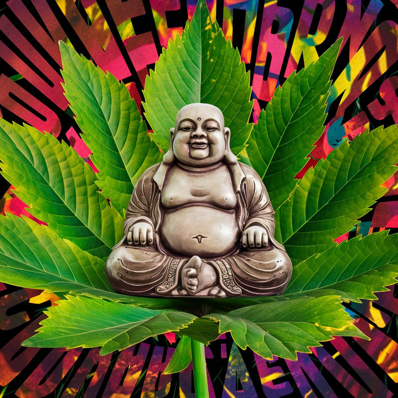 Unlock Your Tranquility: Limited Time Offer!
