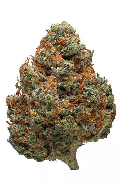 Durban Poison – THCA 28.00%