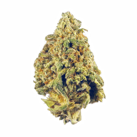 Cereal Milk High AAA THCA Flower- Sativa - Triangle Hemp Wellness