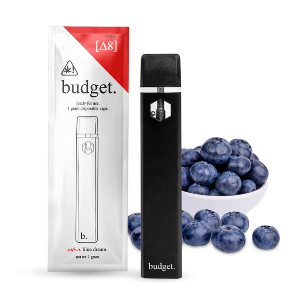 1 gram delta-8 disposable vape by Budget - Triangle Hemp Wellness