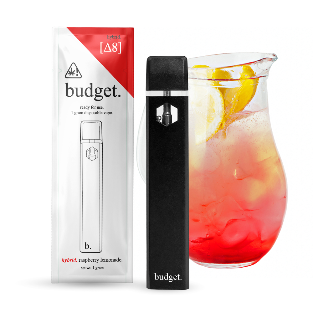 1 gram delta-8 disposable vape by Budget - Triangle Hemp Wellness