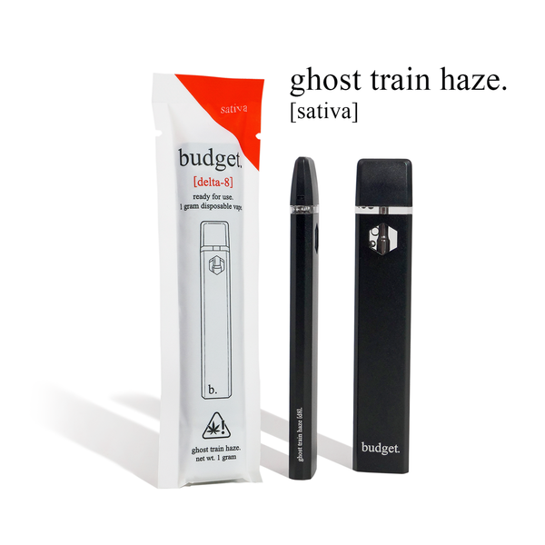 1 gram delta-8 disposable vape by Budget - Triangle Hemp Wellness